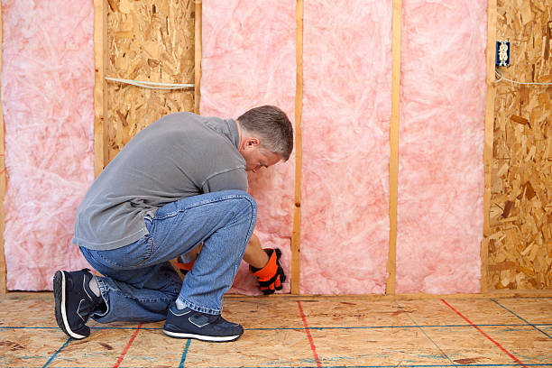 Best Insulation Maintenance and Repair in Warm Springs, CA