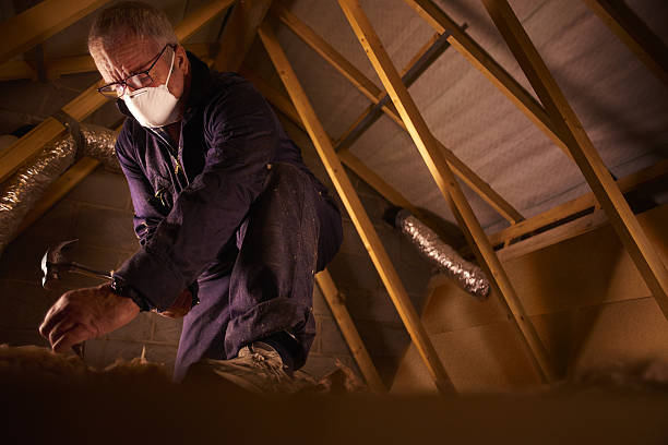 Best Types of Insulation in Warm Springs, CA
